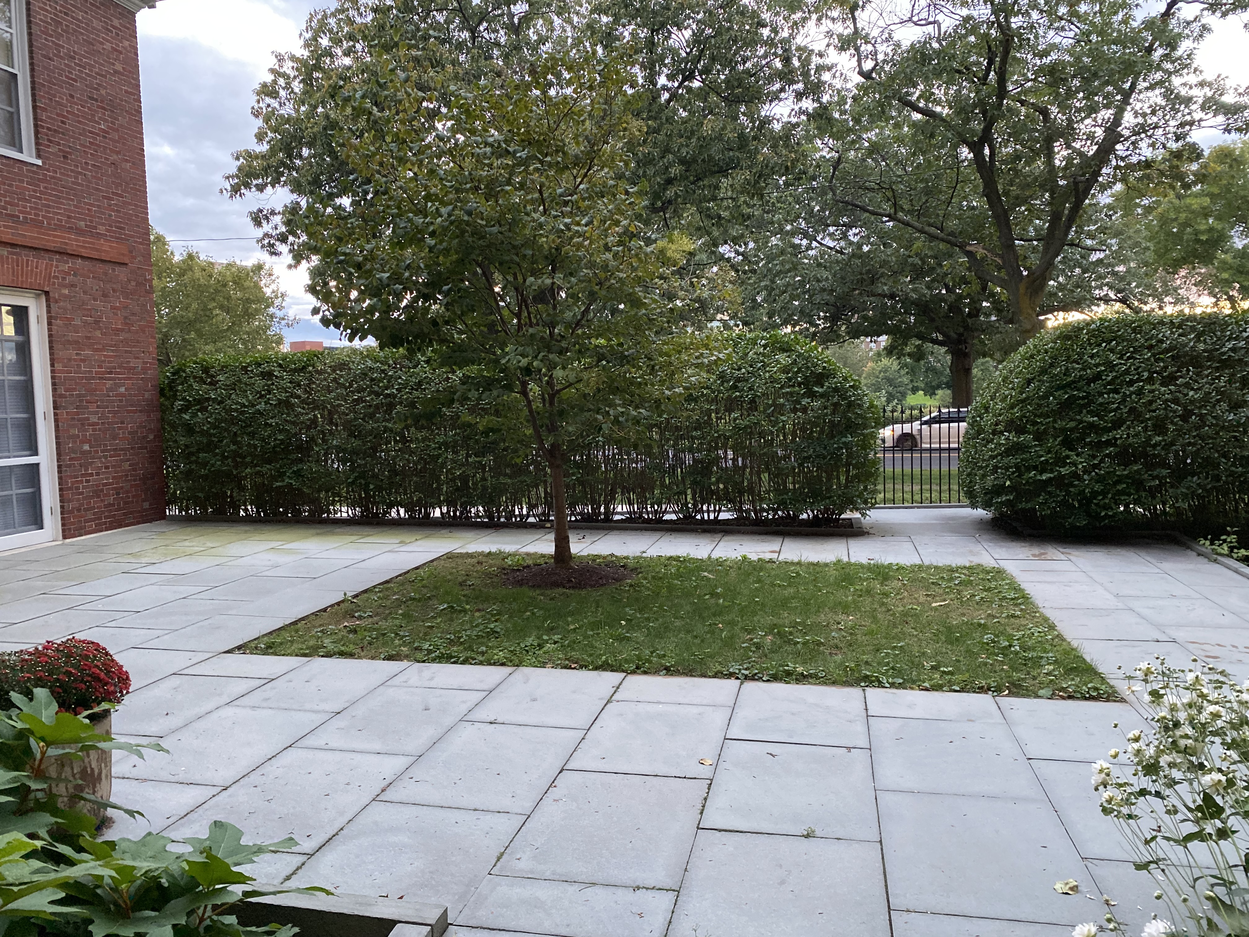 Faculty Dean's Courtyard