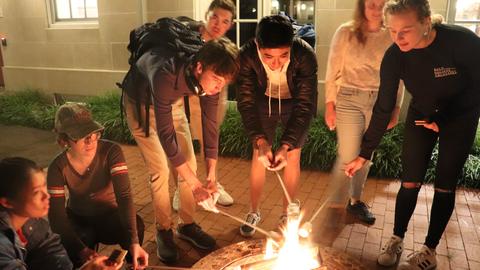 students roasting s'mores around a fire in the courtyard